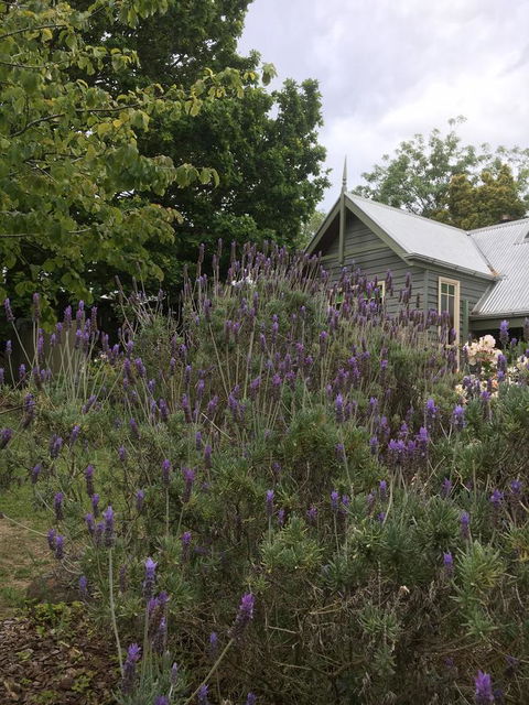 Oak Tree Lodge - South Australia Travel 25