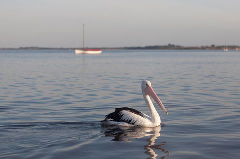 Oak Tree Lodge - South Australia Travel 17