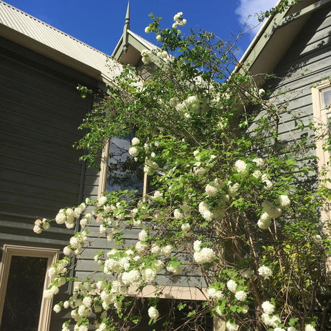 Oak Tree Lodge - South Australia Travel 16