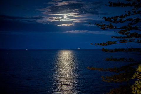 The Sebel Brisbane Margate Beach - South Australia Travel 31