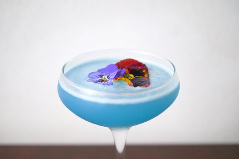 The Sebel Brisbane Margate Beach - South Australia Travel 18