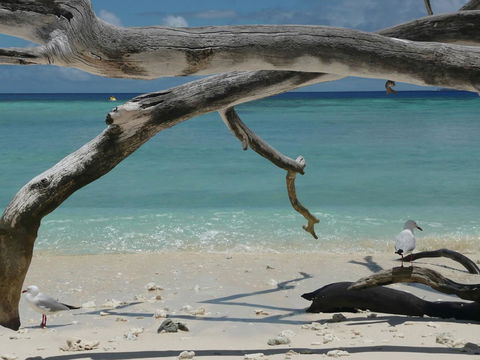 Beach Club Port Douglas Luxury Apartments - South Australia Travel 23