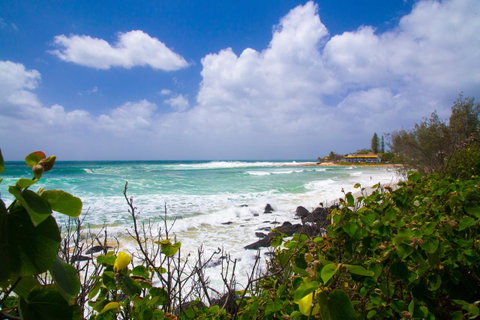 Rainbow Bay Backpackers - South Australia Travel 0