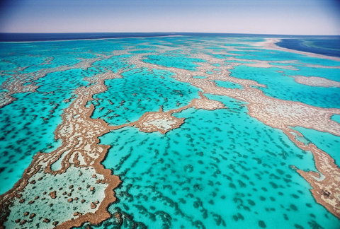 Poinciana 112 - South Australia Travel 20