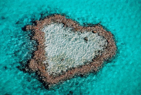 Poinciana 112 - South Australia Travel 21