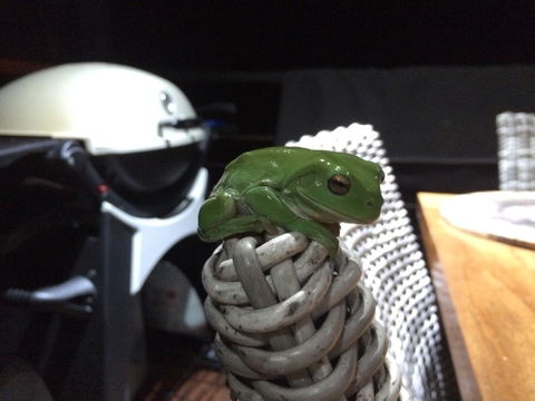 Bed & Breakfast 1 Bedroom Guest House - South Australia Travel 43