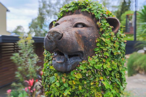 Bed & Breakfast 1 Bedroom Guest House - South Australia Travel 44