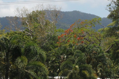 Sea Point On Trinity Beach - South Australia Travel 21