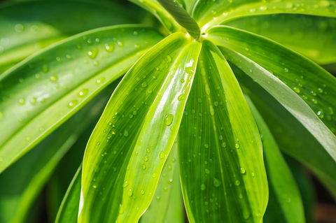 Port Douglas Motel - South Australia Travel 27