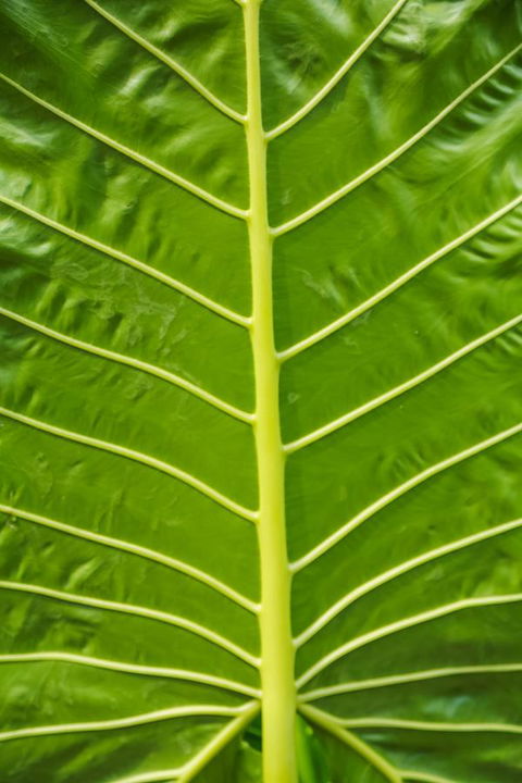 Port Douglas Motel - South Australia Travel 24