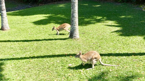 Argosy On The Beach - South Australia Travel 15