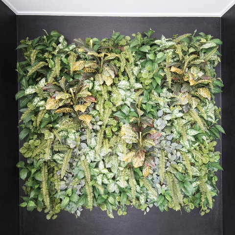 Riviera Mackay - South Australia Travel 22