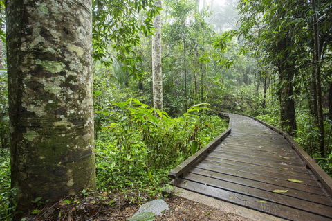 Riviera Mackay - South Australia Travel 25