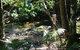 Boutique Bungalows - thumb 18