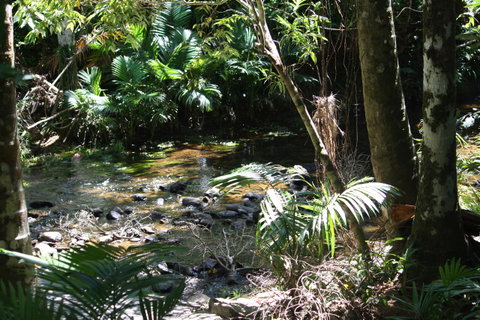 Boutique Bungalows - South Australia Travel 18