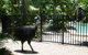 Boutique Bungalows - thumb 15