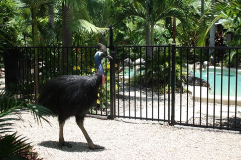 Boutique Bungalows - South Australia Travel 15