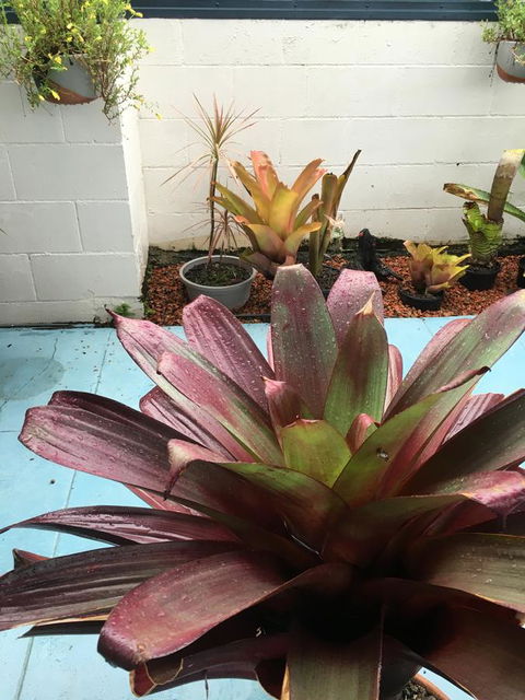 Black Marlin Motel - South Australia Travel 17