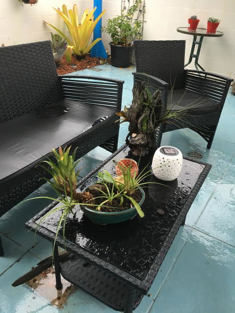 Black Marlin Motel - South Australia Travel 3