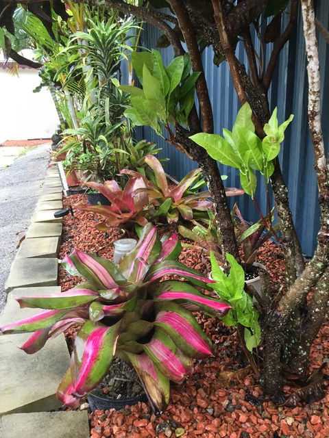 Black Marlin Motel - South Australia Travel 20