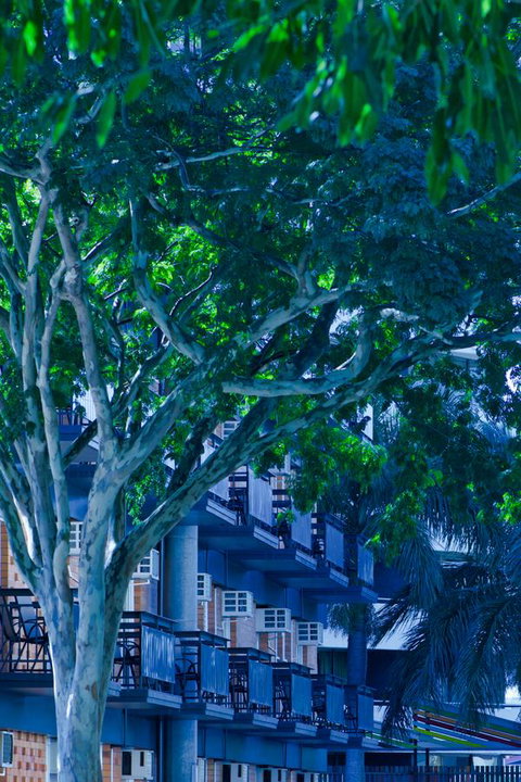 Soho Brisbane - South Australia Travel 12