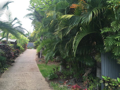 Casuarina - South Australia Travel 21