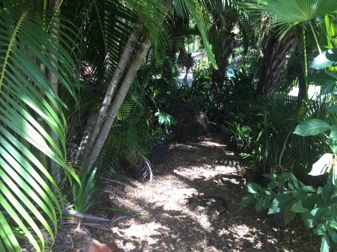 Casuarina - South Australia Travel 12