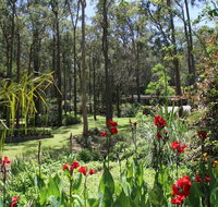 Werekataba - South Australia Travel