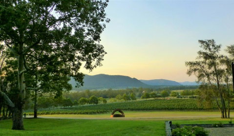 Winmark Wines - South Australia Travel 0