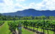 Winmark Wines - thumb 1