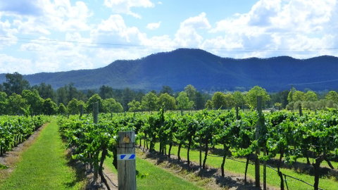 Winmark Wines - South Australia Travel 1
