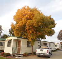 Wodonga Caravan  Cabin Park - South Australia Travel