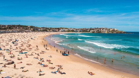A Lovely Beach Studio 5min Walk To Bondi Beach - South Australia Travel 2