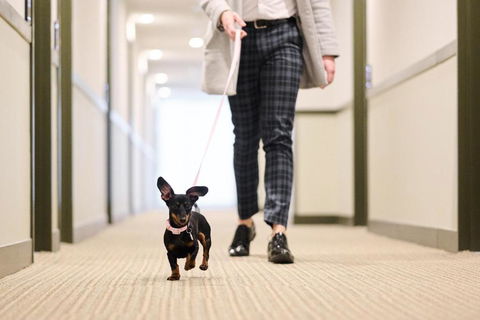 Abode Phillip - South Australia Travel 4