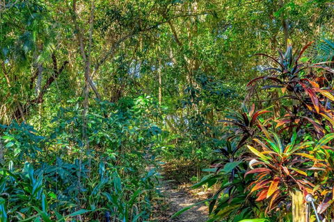 Absolute Beachfront, Heart Of Port Douglas - 24 S - South Australia Travel 3