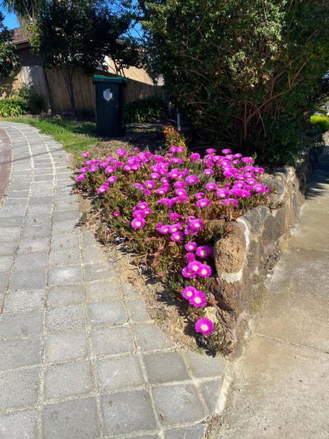 ADA Homestay - South Australia Travel 3