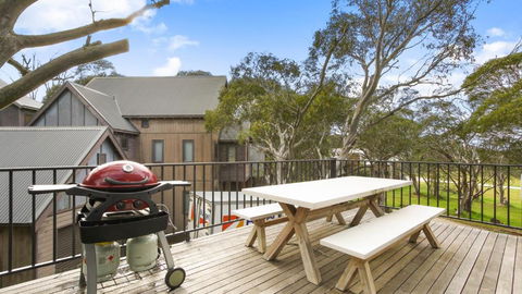 Alpine Walkabout - South Australia Travel 2