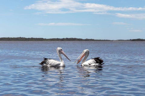 Amazing Ansons Bay Remote Paradise For The Family In The Bay Of Fires Area - South Australia Travel 2