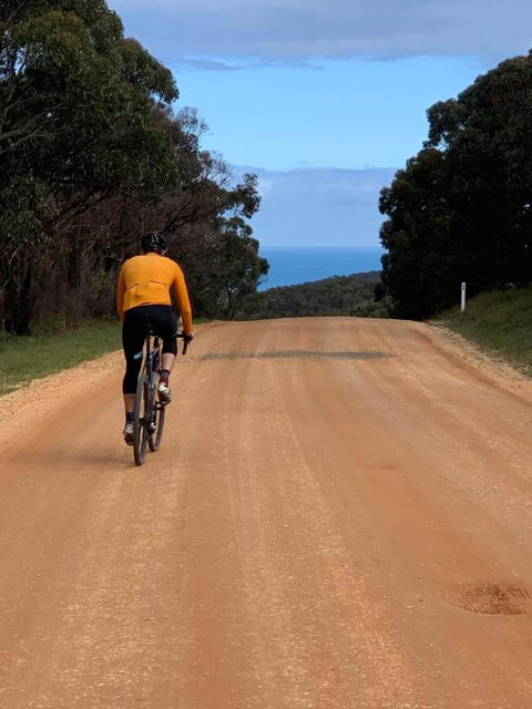 Anglesea Rivergums - South Australia Travel 4