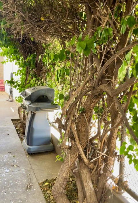 Argent Abode CBD - South Australia Travel 1