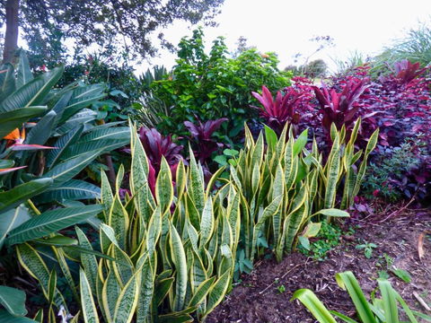 ArtHOUSE Beachfront Accommodation - South Australia Travel 2