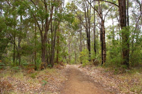 Ashleigh - In Town - Margaret River - South Australia Travel 4