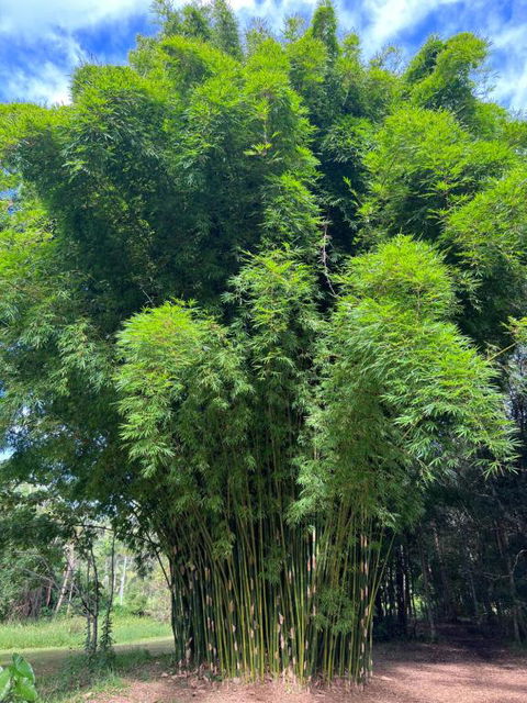 Avana Byron Glamping - South Australia Travel 1