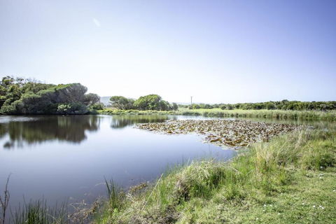 Apollo Bay Cottages- Sabine - South Australia Travel 3