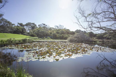 Apollo Bay Cottages- Sabine - South Australia Travel 4