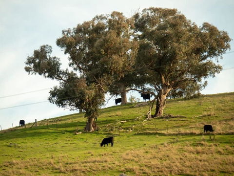 Back Station Creek Retreat By Tiny Away - South Australia Travel 2
