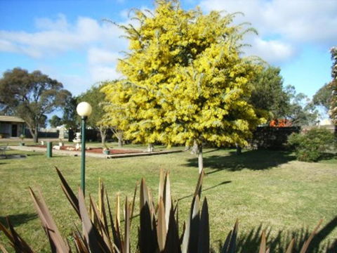 Bairnsdale Main Motel - South Australia Travel 3