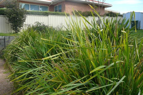 Banksia Waters - South Australia Travel 4