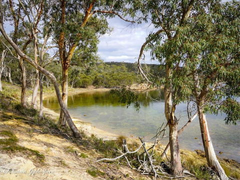 Banyula Cove By Tiny Away - South Australia Travel 4