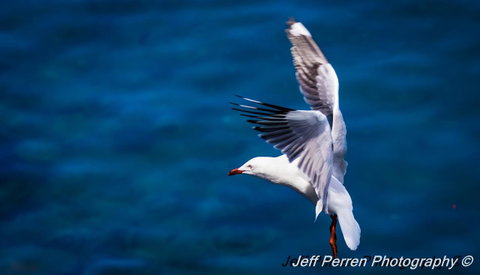 La Promenade - South Australia Travel 14